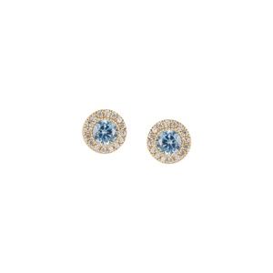 March Birthstone Earrings